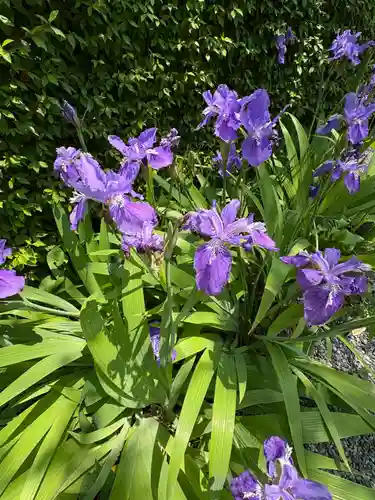 百草八幡神社(東京都)