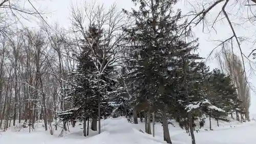 神楽神社の景色