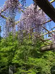 日吉神社の庭園