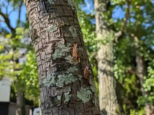 三津厳島神社(愛媛県)