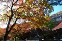 西念寺(山口県)