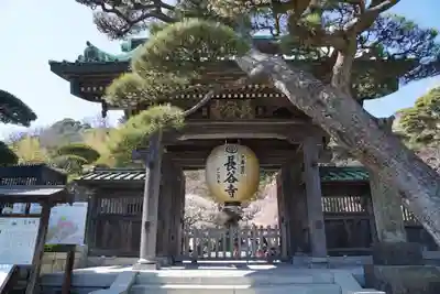 長谷寺の山門・神門