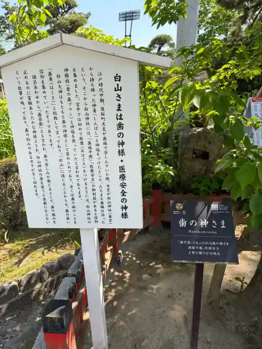 白山神社の{uncategorized: "未分類", other: "その他", undefined: "問題あり", building: "その他建物", grave: "お墓", sacred_gate: "鳥居", guardian: "狛犬", statue: "像", buddha: "仏像", history: "歴史", nature: "自然", garden: "庭園", animal: "動物", pagoda: "塔", temizu: "手水舎", mountain_gate: "山門・神門", sanctuary: "本殿・本堂", subordinate: "末社・摂社", art: "芸術", scenery: "景色", jizo: "地蔵", ema: "絵馬", goshuin: "御朱印", omikuji: "おみくじ", items: "授与品その他", amulet: "お守り", goshuincho: "御朱印帳", eats: "食事", festival: "お祭り", votive_dance: "神楽", shichigosan: "七五三参", wedding: "結婚式", experience: "体験その他", initially: "初詣", around: "周辺", anti_infection: "感染症対策"}