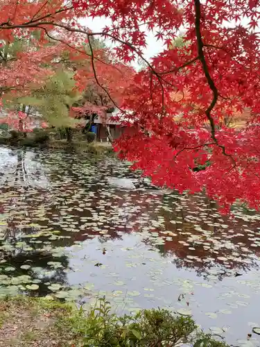 大原野神社の庭園