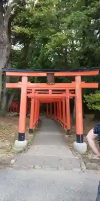 橿原神宮(奈良県)