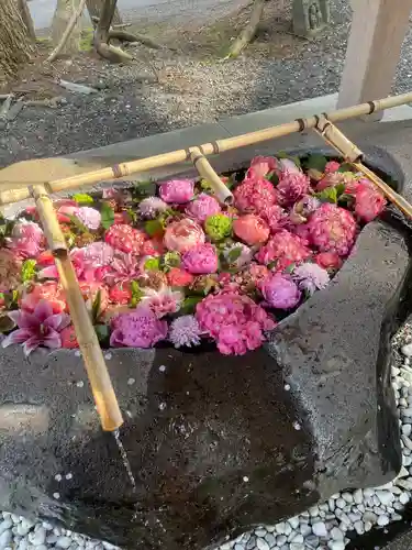 千歳神社の手水