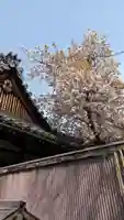 下御霊神社(京都府)
