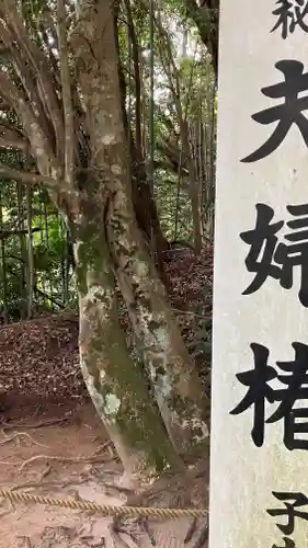 八重垣神社の自然