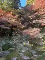 財賀寺(愛知県)