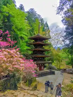 室生寺の塔