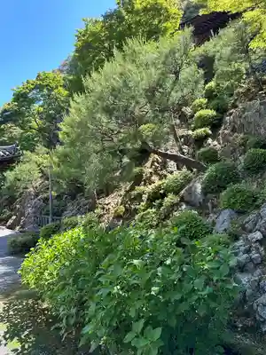 知恩院(京都府)