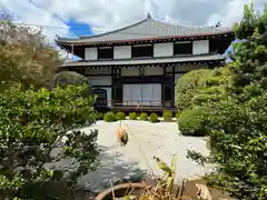 獅子吼山轉法輪寺(京都府)