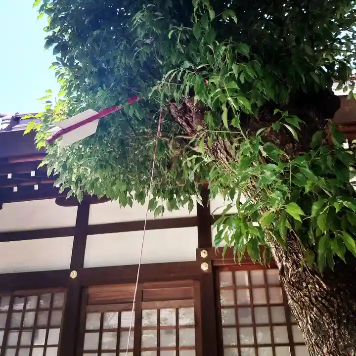 三輪神社のその他建物
