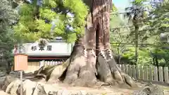 筑波山神社(茨城県)