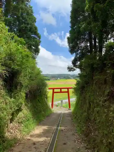 日吉神社の鳥居