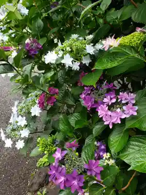 常泉院(東京都)