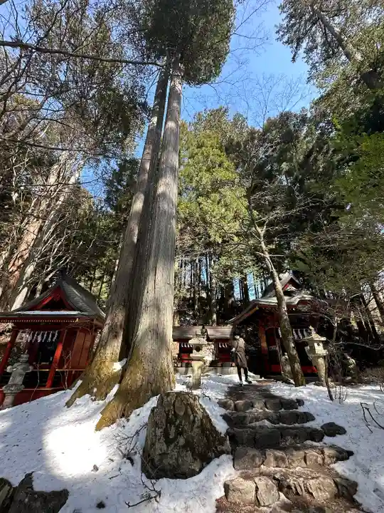 三峯神社の自然