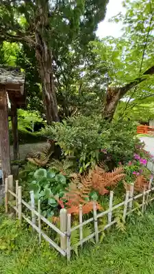 今熊野観音寺(京都府)