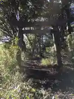 愛宕神社の鳥居