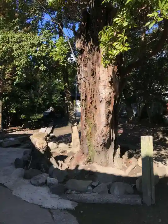 神館神社の自然