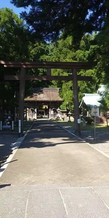 若狭姫神社(若狭彦神社下社)の鳥居