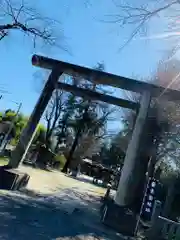 素鵞神社の鳥居