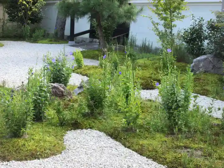 廬山寺(廬山天台講寺)の庭園