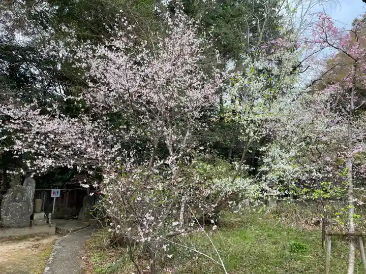 十輪寺(京都府)