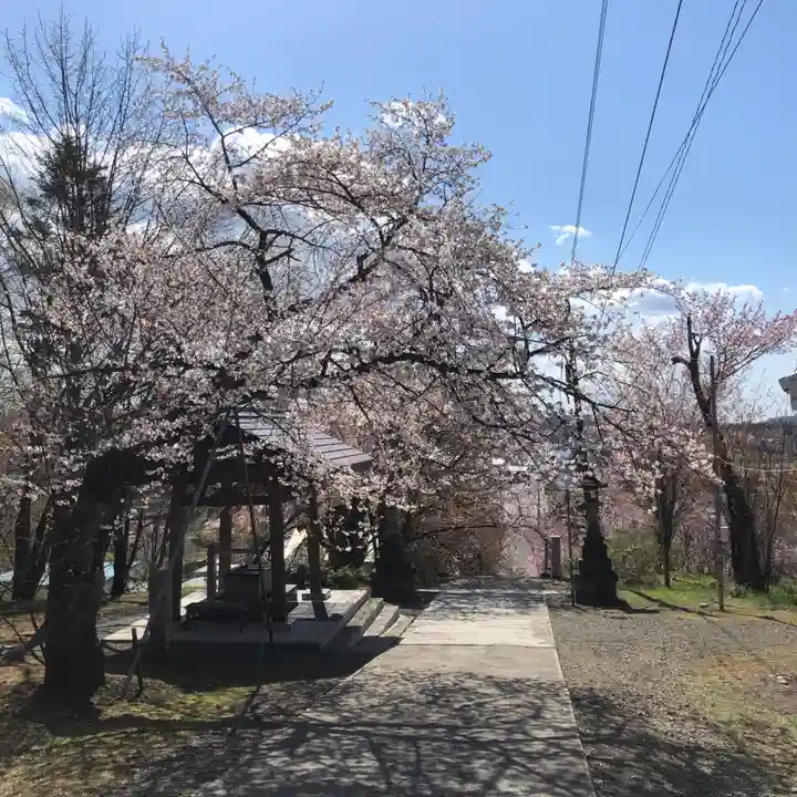 新得神社の自然