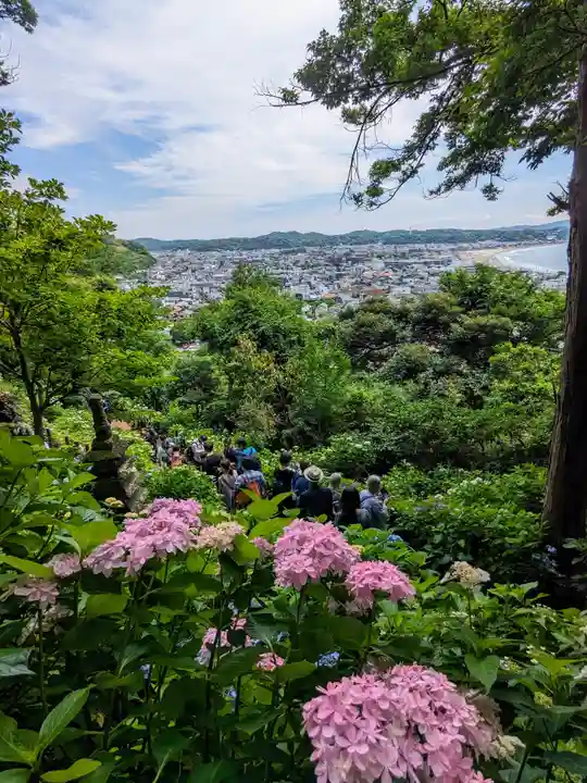 長谷寺(神奈川県)