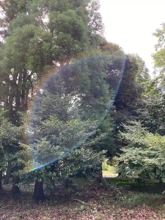 小鴨神社の自然