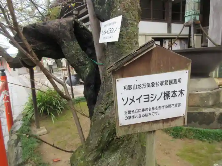 金剛宝寺(紀三井寺)(和歌山県)