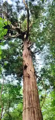 登米神社(宮城県)