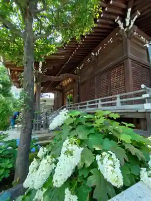 白山神社(東京都)