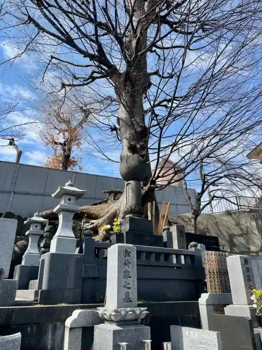 宗興寺の{uncategorized: "未分類", other: "その他", undefined: "問題あり", building: "その他建物", grave: "お墓", sacred_gate: "鳥居", guardian: "狛犬", statue: "像", buddha: "仏像", history: "歴史", nature: "自然", garden: "庭園", animal: "動物", pagoda: "塔", temizu: "手水舎", mountain_gate: "山門・神門", sanctuary: "本殿・本堂", subordinate: "末社・摂社", art: "芸術", scenery: "景色", jizo: "地蔵", ema: "絵馬", goshuin: "御朱印", omikuji: "おみくじ", items: "授与品その他", amulet: "お守り", goshuincho: "御朱印帳", eats: "食事", festival: "お祭り", votive_dance: "神楽", shichigosan: "七五三参", wedding: "結婚式", experience: "体験その他", initially: "初詣", around: "周辺", anti_infection: "感染症対策"}