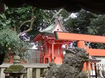 和爾坐赤阪比古神社の建物その他