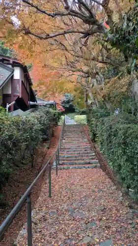 高倉天皇皇后　大原西陵(京都府)