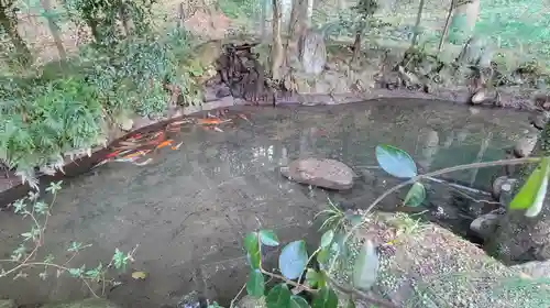 三島神社(愛媛県)