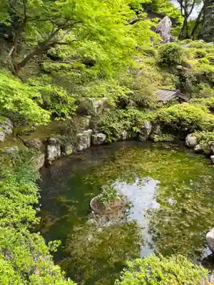 萬徳寺(福井県)