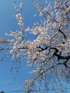 日蓮宗 総本山 塔頭 定林坊(じょうりんぼう)(山梨県) 2023年03月18日(土)〜(2023年03月18日(土) 21時51分04秒投稿)