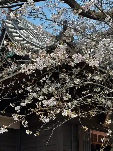 萩中神社の{uncategorized: "未分類", other: "その他", undefined: "問題あり", building: "その他建物", grave: "お墓", sacred_gate: "鳥居", guardian: "狛犬", statue: "像", buddha: "仏像", history: "歴史", nature: "自然", garden: "庭園", animal: "動物", pagoda: "塔", temizu: "手水舎", mountain_gate: "山門・神門", sanctuary: "本殿・本堂", subordinate: "末社・摂社", art: "芸術", scenery: "景色", jizo: "地蔵", ema: "絵馬", goshuin: "御朱印", omikuji: "おみくじ", items: "授与品その他", amulet: "お守り", goshuincho: "御朱印帳", eats: "食事", festival: "お祭り", votive_dance: "神楽", shichigosan: "七五三参", wedding: "結婚式", experience: "体験その他", initially: "初詣", around: "周辺", anti_infection: "感染症対策"}