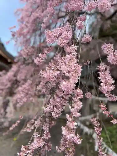 南湖神社(福島県)