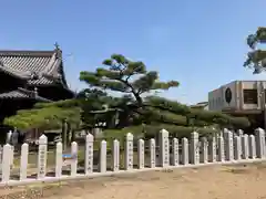 尾上神社の建物その他