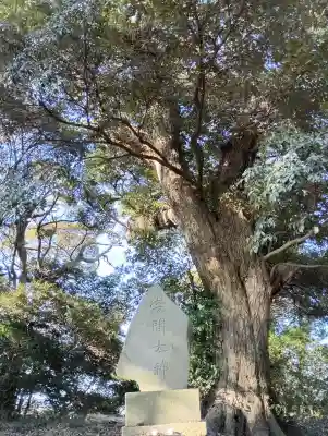 浅間神社(茨城県)