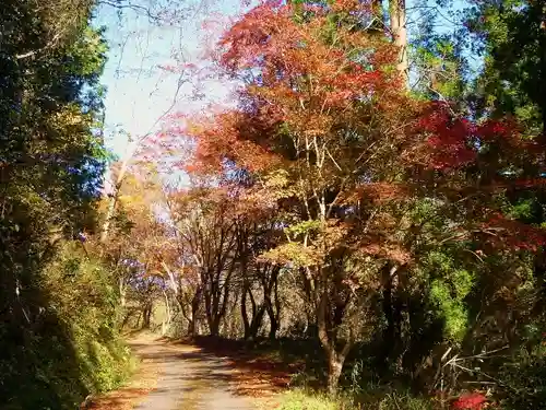 吉野宮神社の景色