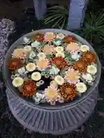 行田八幡神社の手水舎