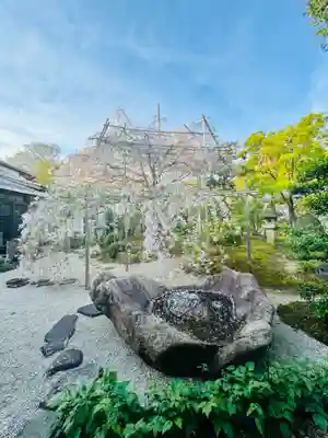 西住院(京都府)