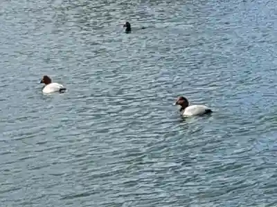三和神社(香川県)