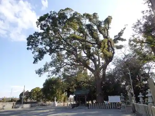 曽禰神社の自然