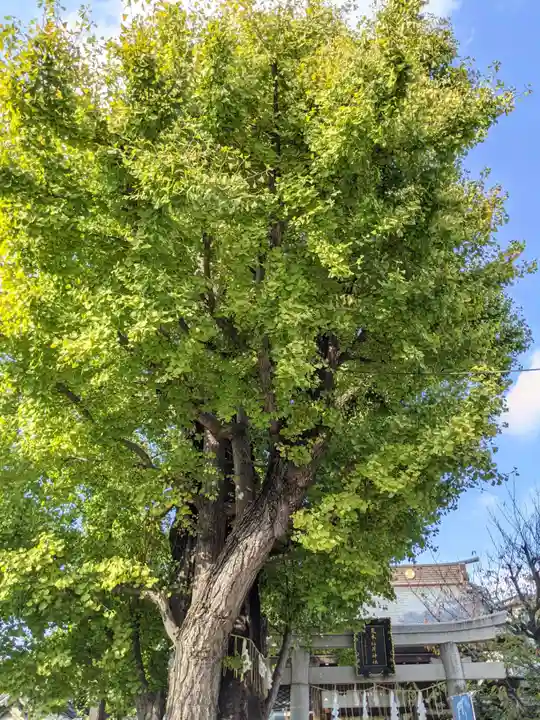 飛木稲荷神社(東京都)